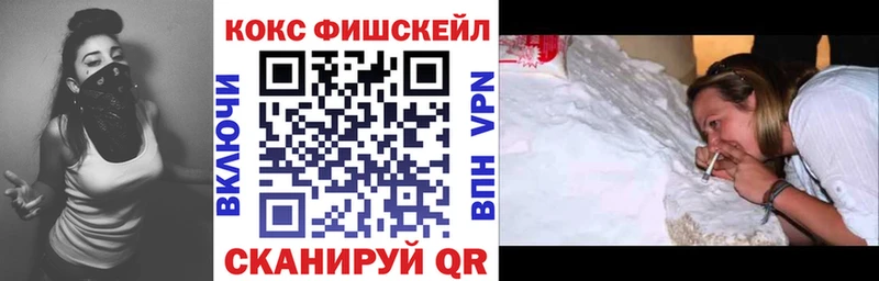где можно купить Пестово Cocaine FishScale