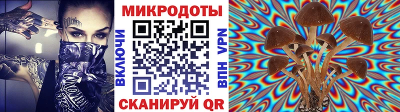 Псилоцибиновые грибы Psilocybe  Пестово 
